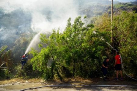 Εύβοια: Πυρκαγιά στην  περιοχή Πίσσωνας