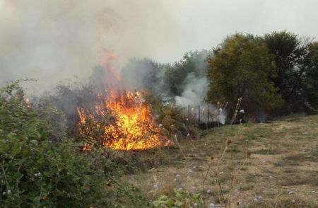 Υπό μερικό έλεγχο η πυρκαγιά στην Εύβοια