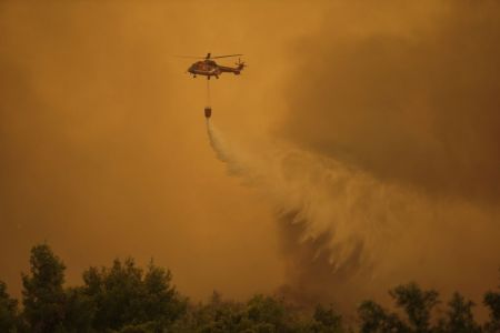 Φωτιά στην Εύβοια: Προσαγωγή υπόπτου για την πυρκαγιά στην Ιστιαία