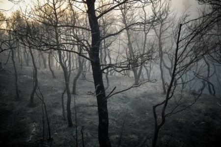 Εύβοια: Κρανίου τόπος από το πέρασμα της πύρινης λαίλαπας