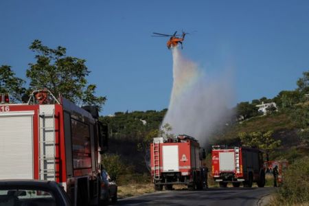 Φωτιά στη Λαμία