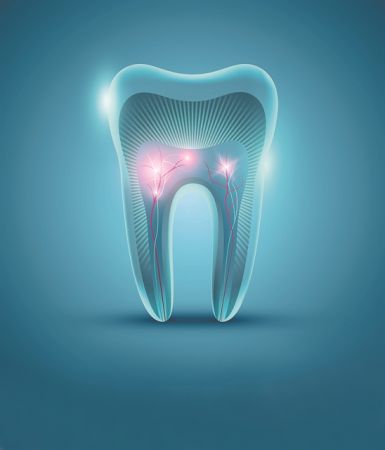Αναγεννητική ιατρική: Οι ιστοί των δοντιών μπορούν να «γεννήσουν»