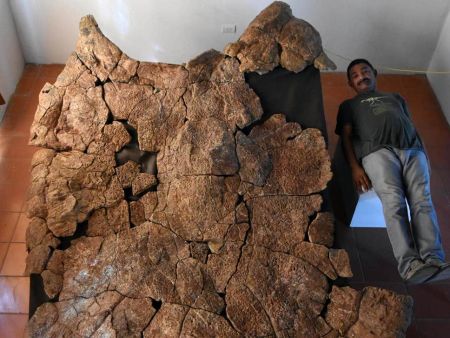 Νότια Αμερική: Ανακαλύφθηκαν απολιθώματα γιγάντιας χελώνας