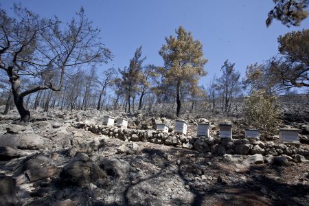 Φωτιά στις Κεχριές: Κατακάηκαν πάνω από 32.000 στρέμματα