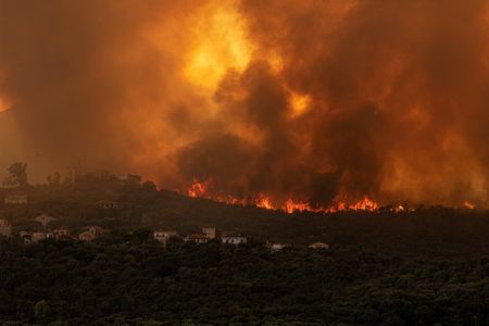 Σαράντα οκτώ δασικές πυρκαγιές εκδηλώθηκαν το τελευταίο 24ωρο