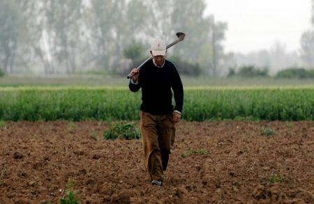 Πώς διαμορφώνεται η προσωρινή αγροτική σύνταξη