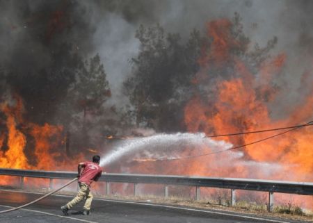 Τουρκία – Στους οκτώ οι νεκροί από τις δασικές πυρκαγιές