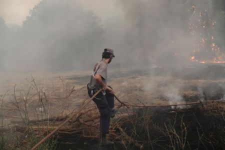 Φωτιά στην Αττική – Μετρούν τις πληγές τους οι κάτοικοι του Διονύσου – Τι λέει ο δήμαρχος στο MEGA