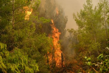 Φωτιές – Οι εξηγήσεις Χαρδαλιά για τα εναέρια μέσα – Τι απάντησε στις καταγγελίες των κατοίκων της Εύβοιας