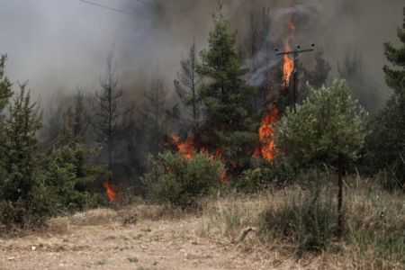 Πολύ υψηλός κίνδυνος πυρκαγιάς και σήμερα – Προσοχή σε 4 Περιφέρειες