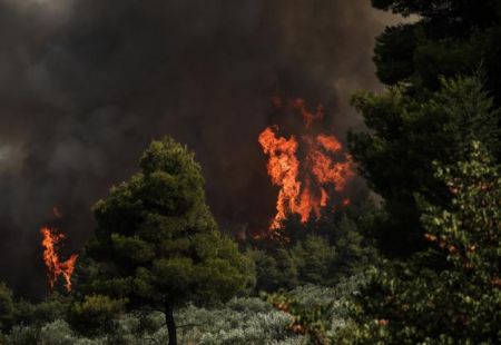 Φωτιά στο Κατακάλι Κορινθίας – Καίει δασική έκταση