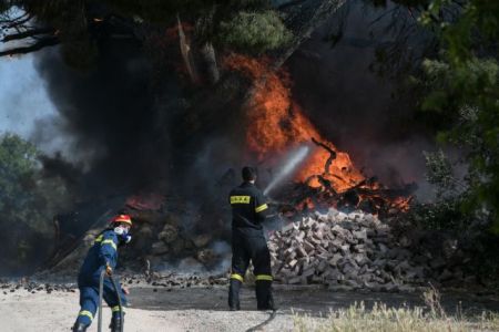 Άγιο Όρος – Φωτιά σε δασική έκταση – Επιχειρούν και εναέρια μέσα