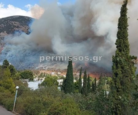 Φωτιά στην παραλία Διστόμου – Μεγάλη κινητοποίηση από την Πυροσβεστική