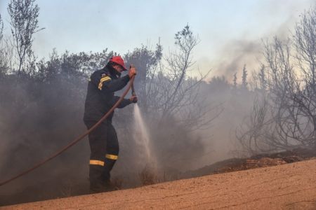 Φωτιά στην Ηλεία – Καίει δασική έκταση σε δύσβατη περιοχή