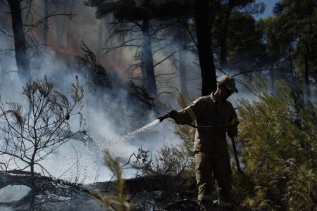 Βοιωτία – Φωτιά στην Αγία Άννα – Επιχειρούν και δύο αεροσκάφη