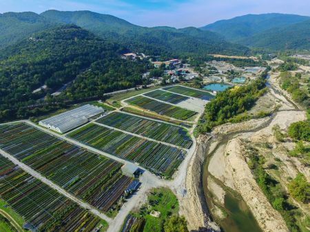 Ελληνικός Χρυσός – Ωφελημένη από τη νέα επενδυτική συμφωνία η τοπική κοινωνία της ΒΑ Χαλκιδικής