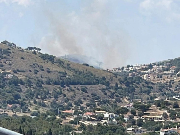 Πυρκαγιά στην Κερατέα