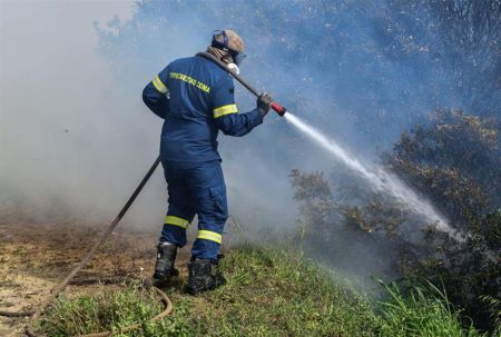 Εύβοια: Φωτιά στον Αετό Καρύστου – Ισχυροί άνεμοι στην περιοχή