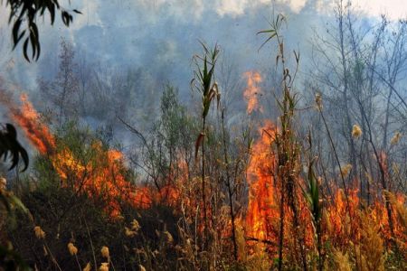 Στις 18:00 έκτακτη ενημέρωση λόγω πυρκαγιών