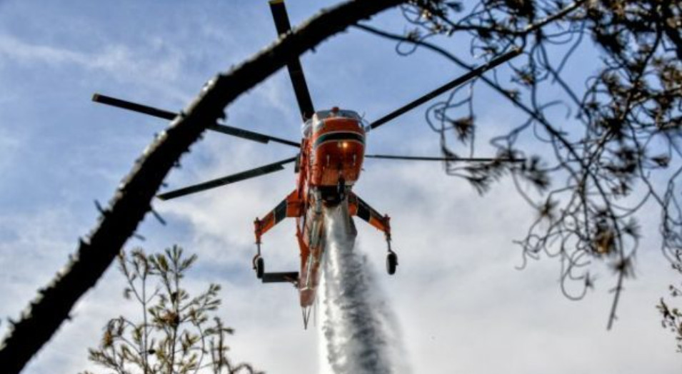 Φωτιά στο Μάζι Βοιωτίας: Στη μάχη της κατάσβεσης και εναέρια μέσα