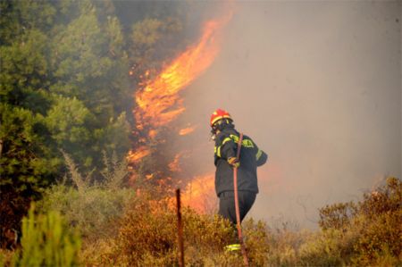 Φωτιά στον Κουβαρά – Δίπλα σε σπίτια οι φλόγες – Ισχυρές δυνάμεις της Πυροσβεστικής