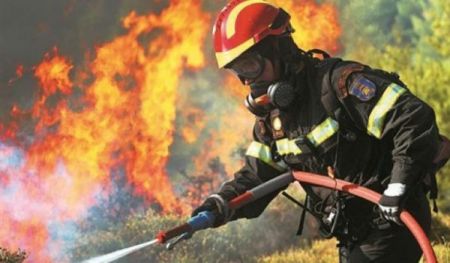 Φωτιά στη Φθιώτιδα: Στις φλόγες δασική έκταση στο Πετρωτό Δομοκού – Ενισχύονται οι δυνάμεις