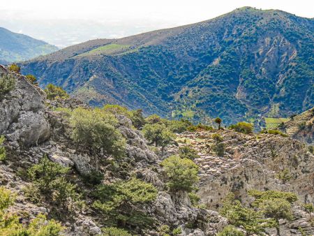 Ηράκλειο: Βρέθηκε νεκρός ο 53χρονος Γερμανός δικηγόρος ο οποίος είχε χαθεί στον Ψηλορείτη