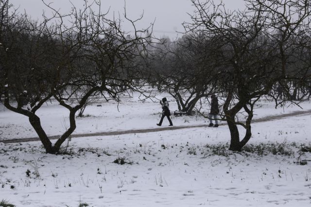 Καιρός: Ανεβαίνει η θερμοκρασία – Πού θα επιμείνουν τα χιόνια