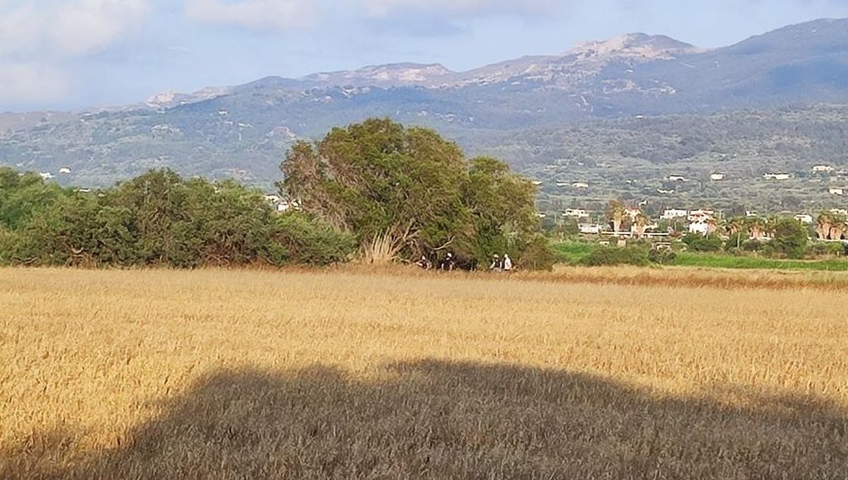 Κως: Ποιοι μετέφεραν τη σορό της 27χρονης – Υπήρχε συνεργός;