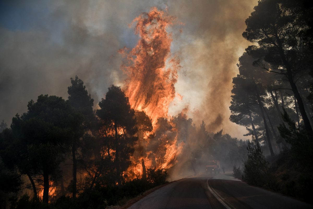 Πήλιο: Καίγεται πευκοδάσος στον Μουρτιά – Εντολή για εναέρια μέσα