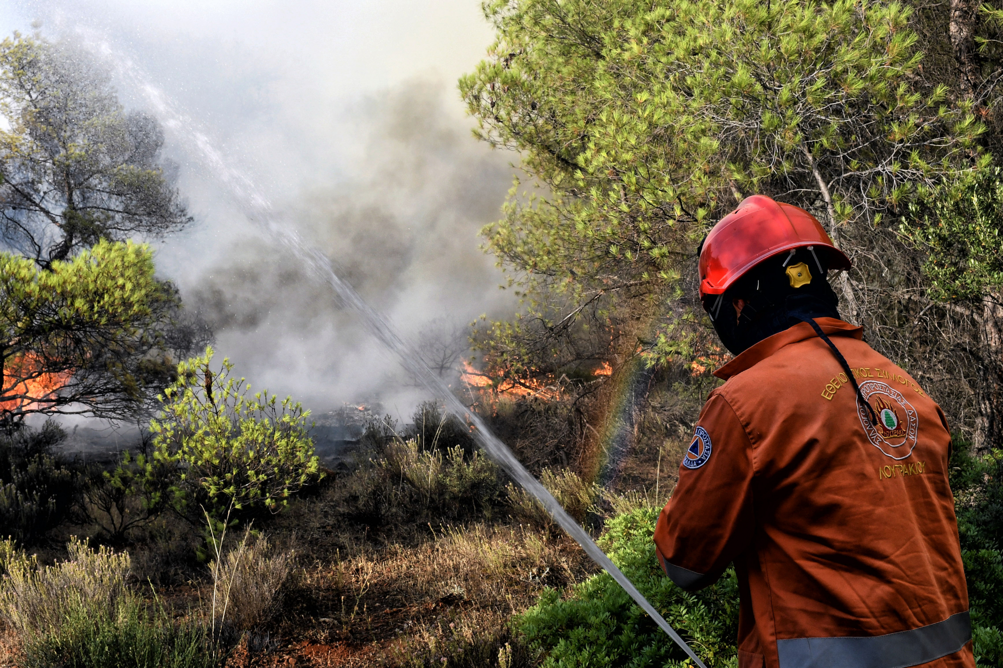 Φωτιά στο Πανόραμα Ευβοίας – Άμεση η επέμβαση της Πυροσβεστικής