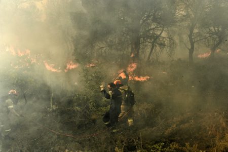 Βοιωτία: Φωτιά σε αγροτοδασική έκταση – Στο σημείο ισχυρές δυνάμεις