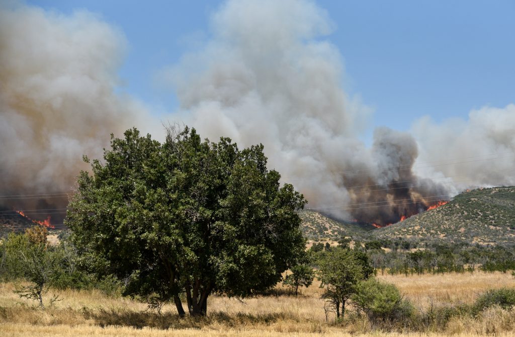 Φωτιά στην Αλεξανδρούπολη: Κυβερνητικό κλιμάκιο μεταβαίνει στον Έβρο