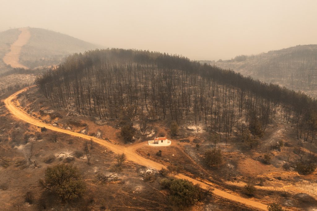 Φωτιά: Ο Βελόπουλος στον Έβρο, ο Παππάς στη Βοιωτία