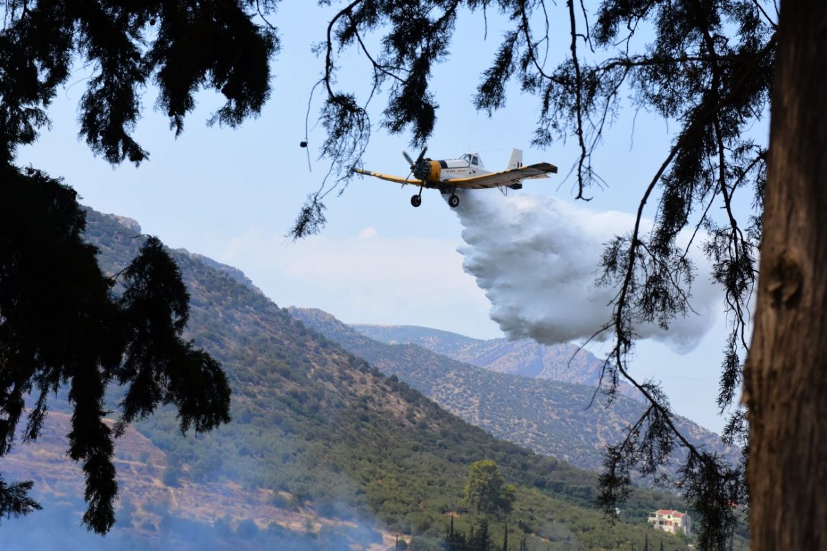 Φωτιά τώρα στον Έβρο – Στη μάχη και εναέρια μέσα