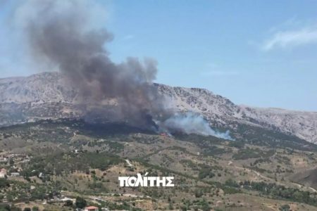 Χίος: Πυρκαγιά στην περιοχή Ρεστά – Εστάλη μήνυμα του 112