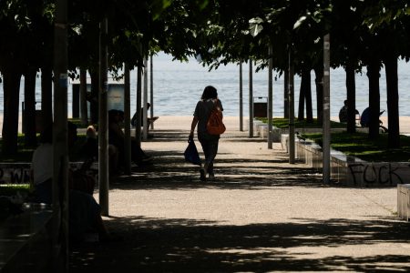 Θεσσαλονίκη: Ανησυχία για την εμφάνιση ψύλλων – «Μεμονωμένο περιστατικό»