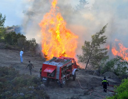 Ρόδος: Πυρκαγιά σε δασική περιοχή ξέσπασε το μεσημέρι – Επί ποδός οι Αρχές