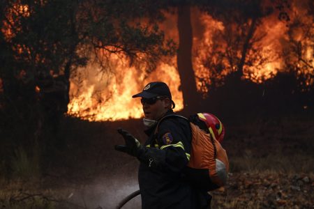 Φωτιά στην Ασωπία Βοιωτίας – Σηκώθηκαν εναέρια μέσα