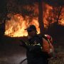 Φωτιά τώρα στην Αττική, σε Μέγαρα και Βαρνάβα – Ήχησε το 112 για εκκένωση