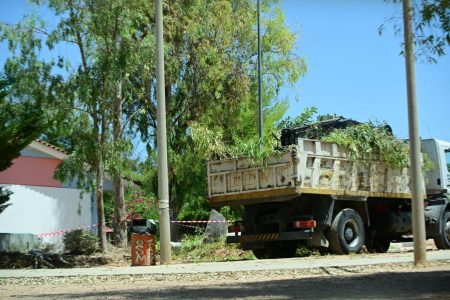 Παπάγου: Νεκρός ο εργάτης που καταπλακώθηκε από δέντρο