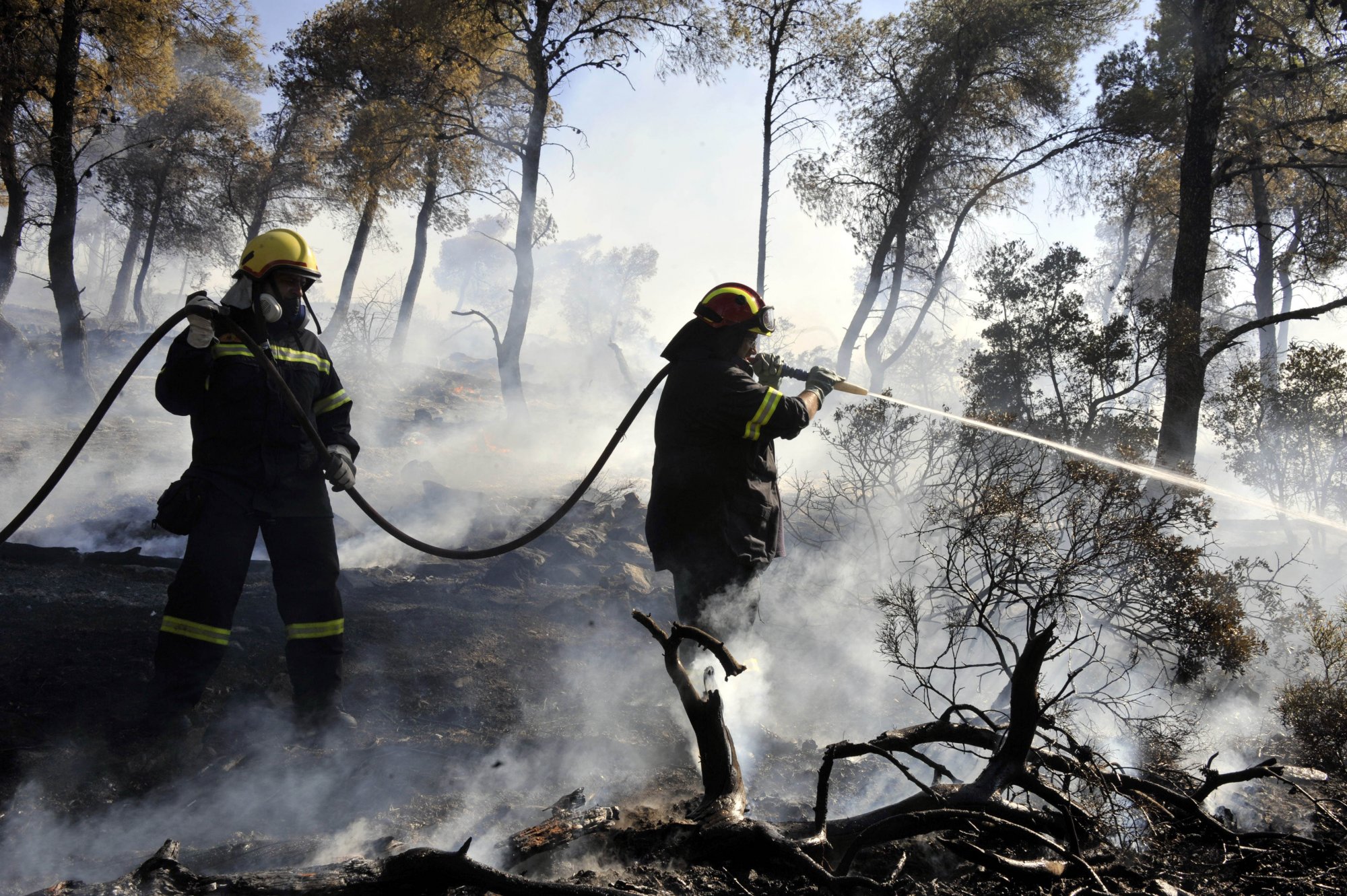 Αττική: Φωτιά στη Φέριζα Κερατέας – Ήχησε το 112