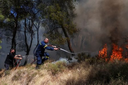 Φωτιά στη Ζάκυνθο: Καίει σε δασική έκταση μακριά από οικισμούς