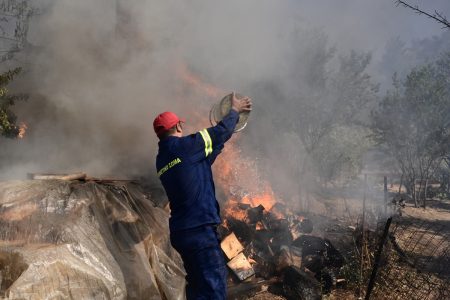 Φωτιά τώρα στη Εύβοια – Καίει δάσος στη Νέα Αρτάκη