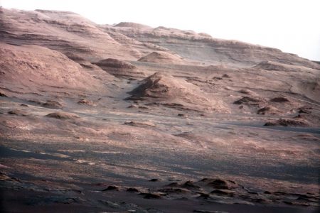 Βρύο της ερήμου μπορεί να επιβιώσει στον Άρη