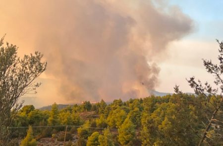 Φωτιά τώρα στη Εύβοια – Καίει δάσος στη Νέα Αρτάκη