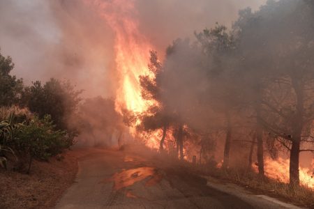Μαγνησία: Υπό μερικό έλεγχο η φωτιά στο Πουρί