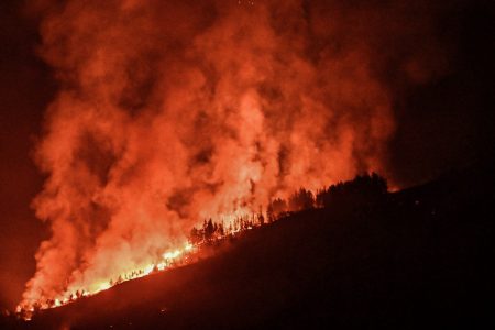 Φωτιά στην Εύβοια: Ολονύχτια μάχη με τις φλόγες – Τα μέτωπα της πυρκαγιάς