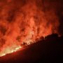 Φωτιά στην Εύβοια: Ολονύχτια μάχη με τις φλόγες – Τα μέτωπα της πυρκαγιάς