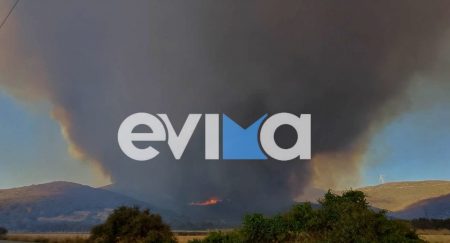 Φωτιά τώρα στην Εύβοια: Νέο μέτωπο λόγω ισχυρών ανέμων – Τραυματίστηκε πυροσβέστης